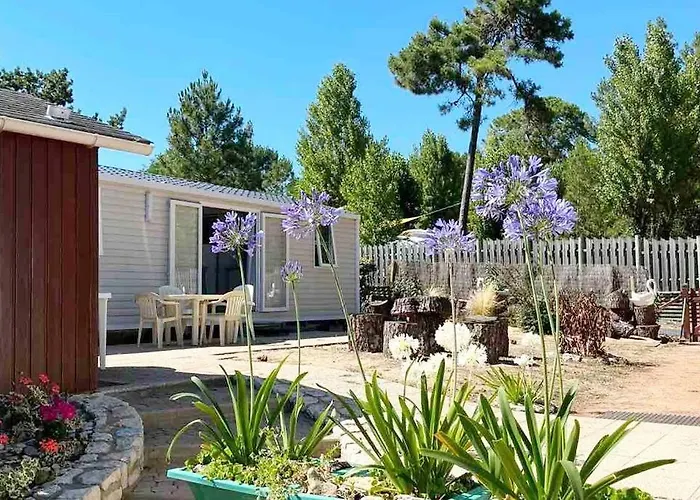Le Petit Coin De Paradis - Centre-Ville - Plage